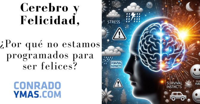 Cómo Funciona El Cerebro Y La Felicidad
