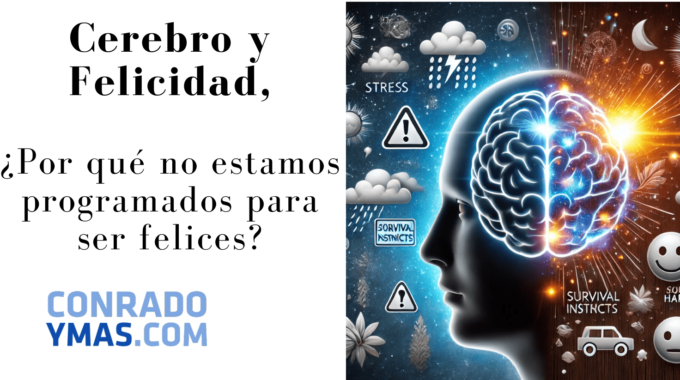 Cómo Funciona El Cerebro Y La Felicidad