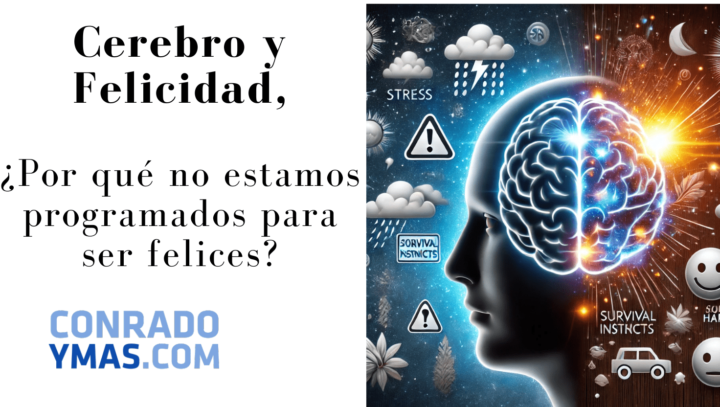 Cómo Funciona El Cerebro Y La Felicidad